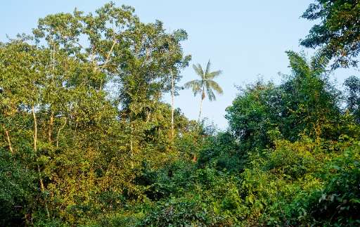Find Features - Finding buildings in Sucumbíos province - Ecuador (2) HOT