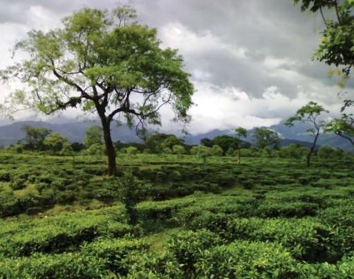 Find Features - Find - Buildings for Women’s Mobility and Access - West Bengal - India (8) HOT