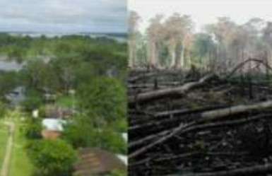 Find Features - Find Forest intervened and buildings - Sucumbios Ecuador (1) OpenMappingHub - LAC