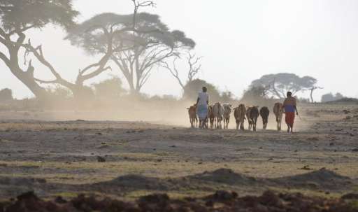 Find Features - Find - Buildings - Supporting Climate Resilience - Kenya (4) HOT