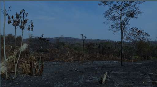 Find Features - Wildfire 2024 - Belize - Cayo and Toledo district (3) OpenMappingHub - LAC