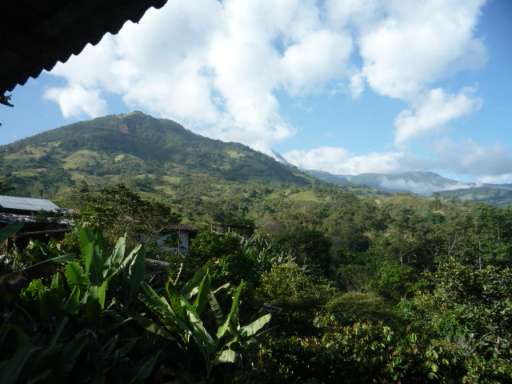 Find Features - Find - Buildings in Santo Domingo - Peru (1) HOT