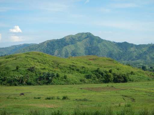 Find Features - Find - Buildings Nueva Ecija for Food Security - Philippines (7) Open Mapping Hub - AP