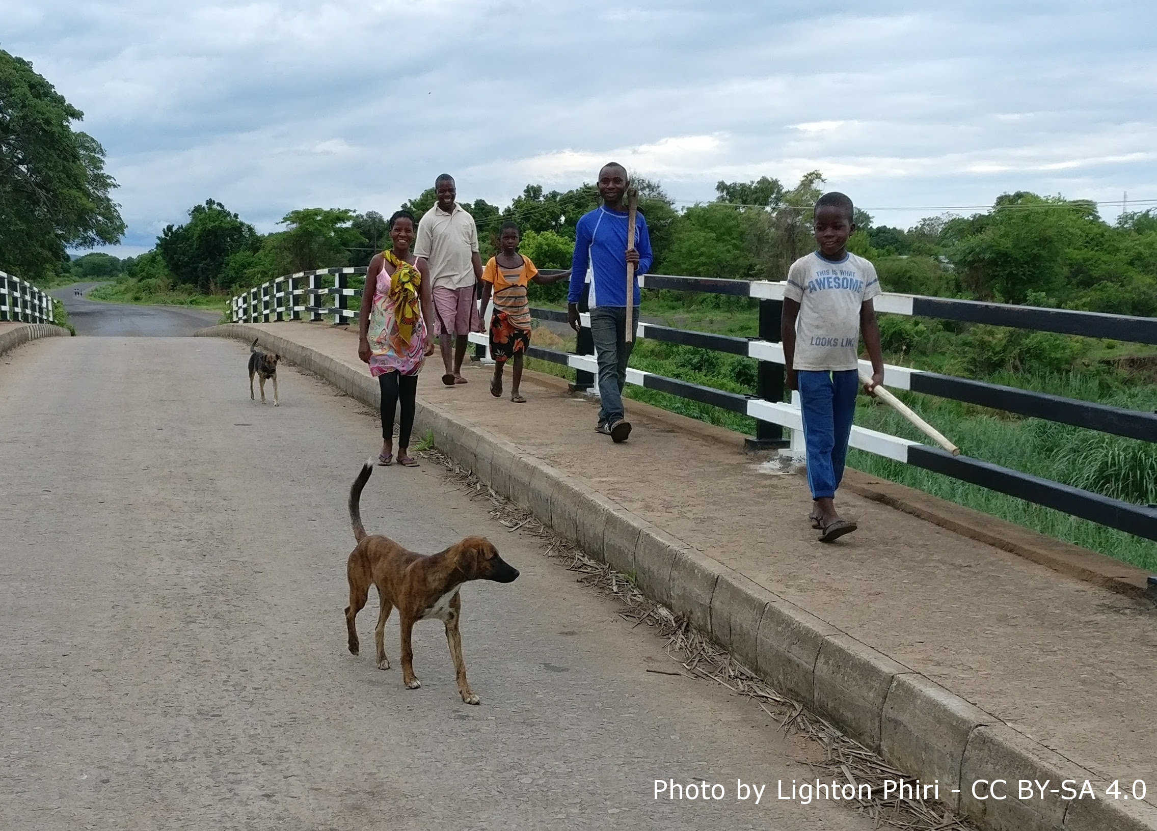 Find Features - Local Impact Governance Activity - Zambia (14) HOT