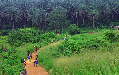 Find Features - Map - Sierra Leone (1) MSF