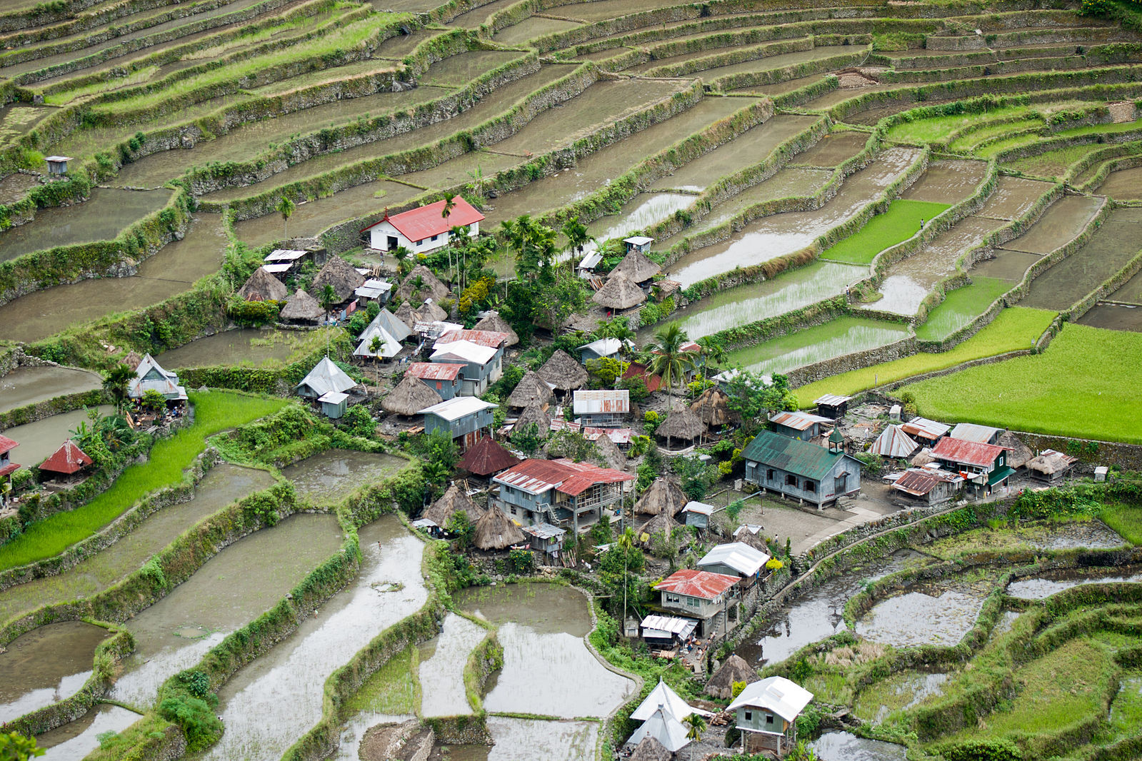 Find Features - UNMAPPED PHILIPPINES - Tarlac (1) MapBeks