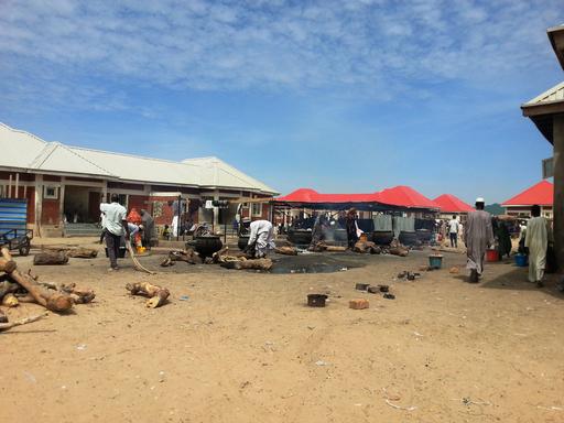 Find Features - MapSwipe - Nigeria (8) MSF