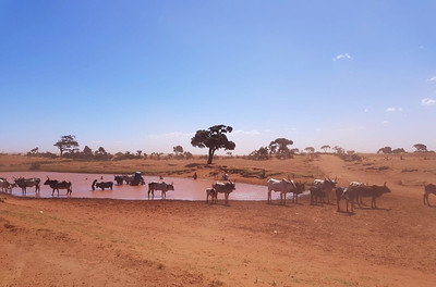 Find Features - Food security - South of Madagascar (8) Médecins Sans Frontières