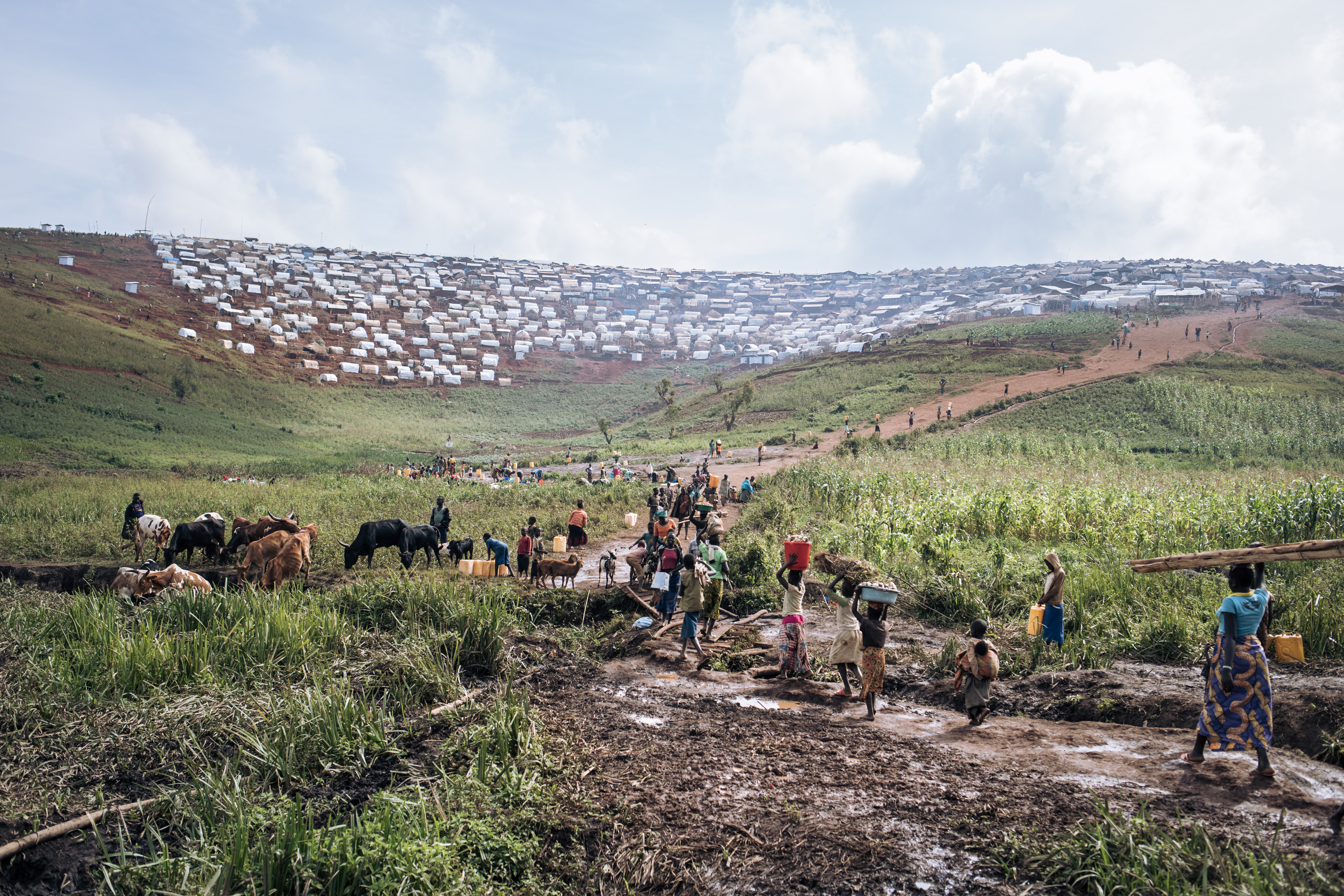 Find Features - Public Health in Kisangani - Democratic Republic of the Congo (2) Médecins Sans Frontières