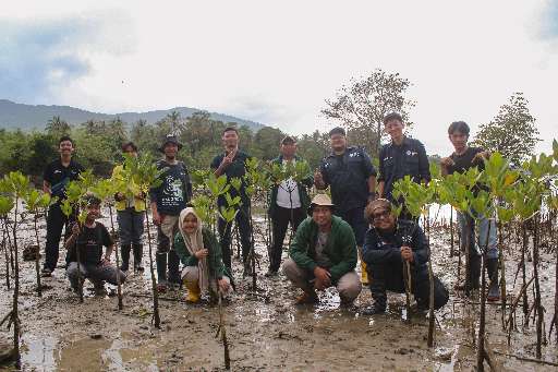 Compare Dates - Compare Mangrove in Pandeglang - Banten, Indonesia (1) Open Mapping Hub - AP