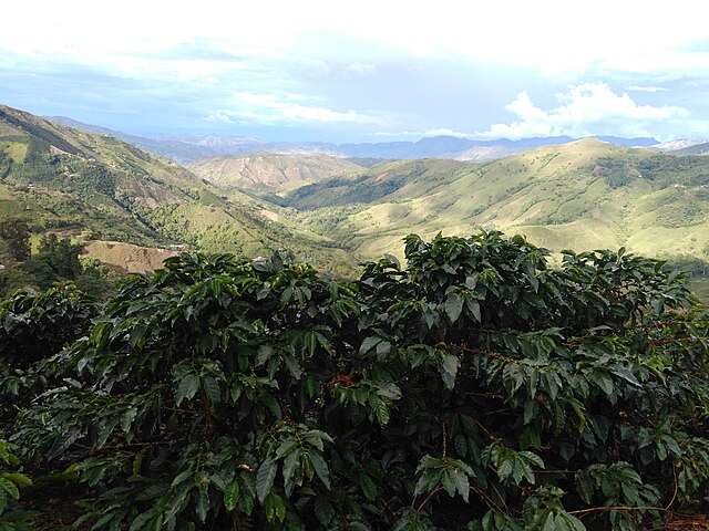 Find Features - Find Buildings COL_SANTA_RITA - Colombia (1) HOT