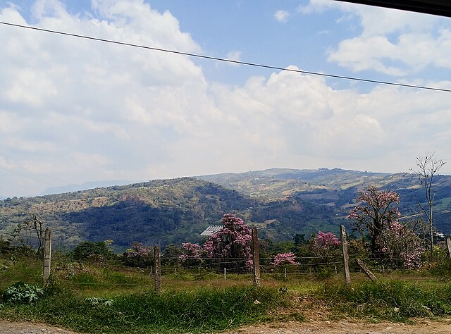 Find Features - Find Buildings COL_MUERCIELAGO - Colombia (1) HOT