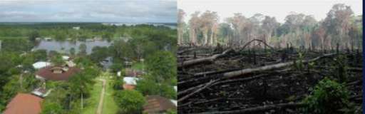 Find Features - Find Forest intervened and buildings - Solano dpto Caquetá - Colombia (1) OpenMappingHub - LAC