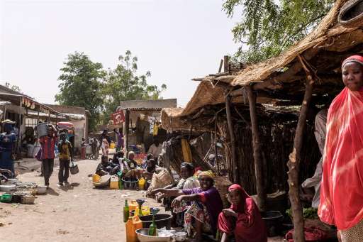 Find Features - Public Health - Magaria, Niger (1) Médecins Sans Frontières