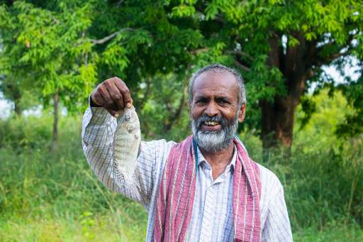 Find Features - Hasiru Aqua Small Pond Mapping - Karnataka, India (1) Open Mapping Hub - AP
