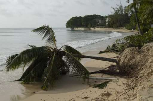 Find Features - Find - Buildings - Grenada (1) OpenMappingHub - LAC