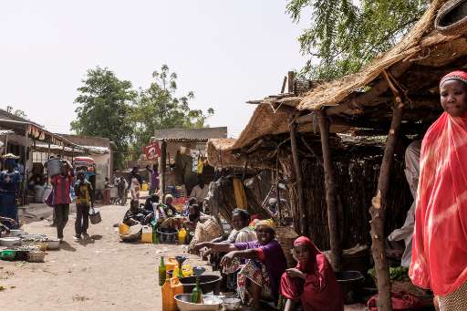 Find Features - Public Health - Magaria, Niger (5) Médecins Sans Frontières