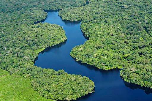 Find Features - Finding buildings in Anori - Amazonas - Brazil (1) HOT