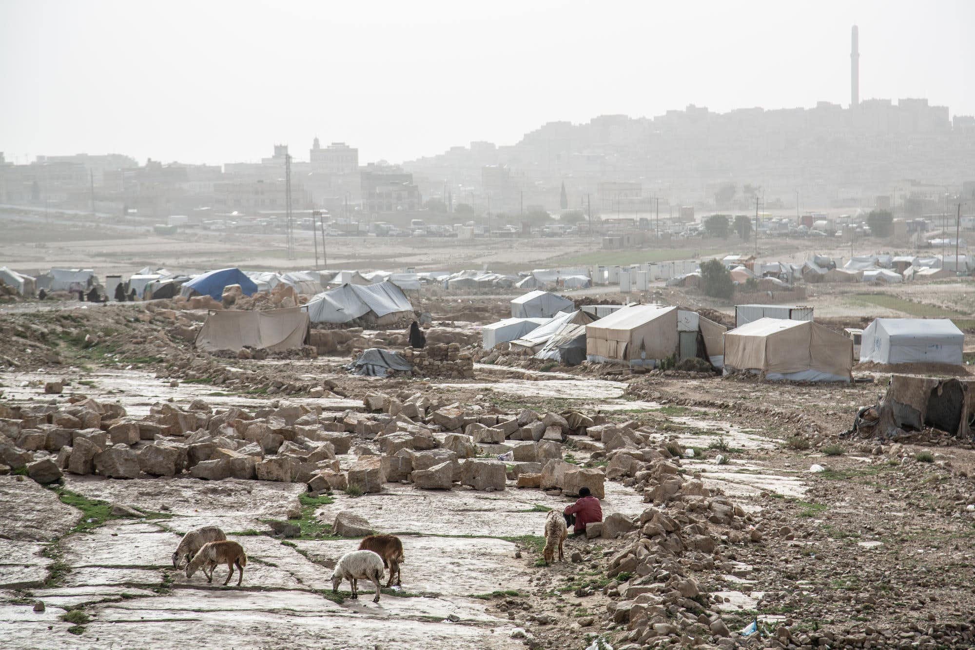 Find Features - Population displacement - Yemen (1) Satellite Applications Catapult