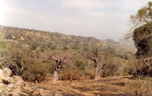 Find Features - Finding buildings in Bandafassi municipality - Senegal (1) CartONG