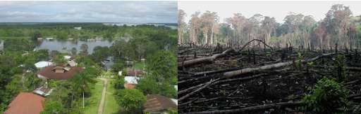 Find Features - Forest intervened and buildings - Brazil Amazonas Coari (1) OpenMappingHub - LAC