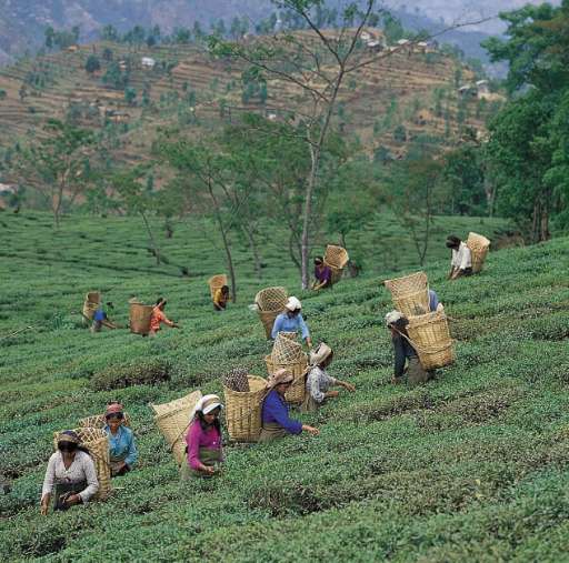 Find Features - Find - Buildings for Women’s Mobility and Access - West Bengal - India (2) HOT