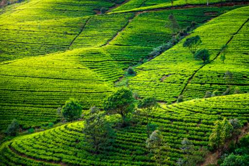 Find Features - Buildings in Pallebedda, Province of Sabaragamuwa - Sri Lanka (1) HOT